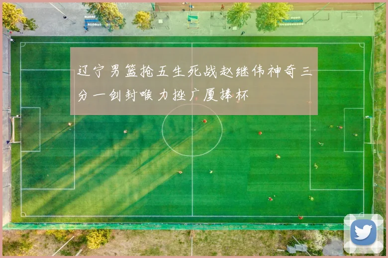 辽宁男篮抢五生死战赵继伟神奇三分一剑封喉力挫广厦捧杯