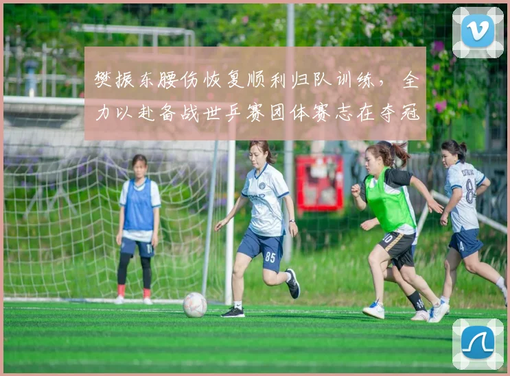 樊振东腰伤恢复顺利归队训练，全力以赴备战世乒赛团体赛志在夺冠