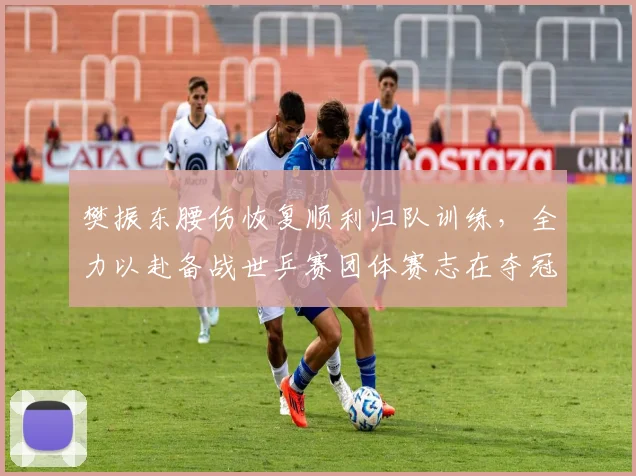 樊振东腰伤恢复顺利归队训练，全力以赴备战世乒赛团体赛志在夺冠